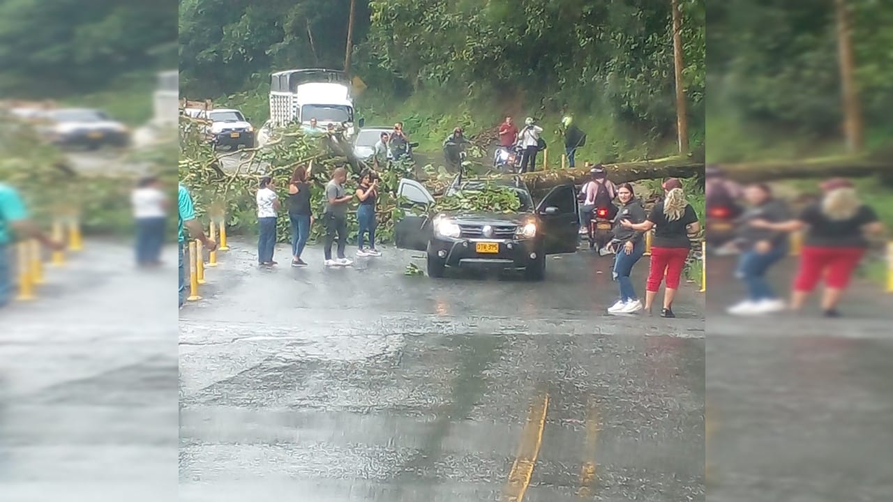 Se presentó la caída de un árbol en el kilómetro 16 vía al mar
