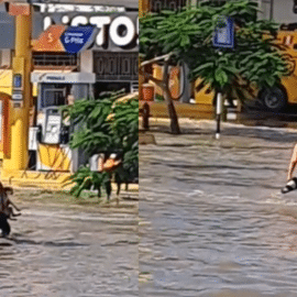 Video: Niño rescató a un perrito que quedó atrapado en calle inundada