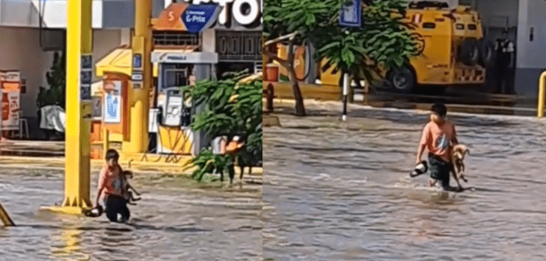Video: Niño rescató a un perrito que quedó atrapado en calle inundada