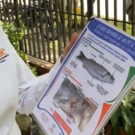 Conozca las recomendaciones para comprar productos de mar en Semana Santa
