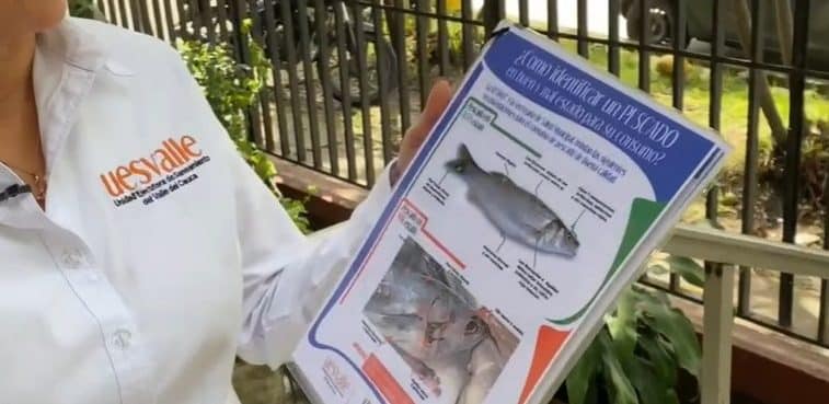 Conozca las recomendaciones para comprar productos de mar en Semana Santa