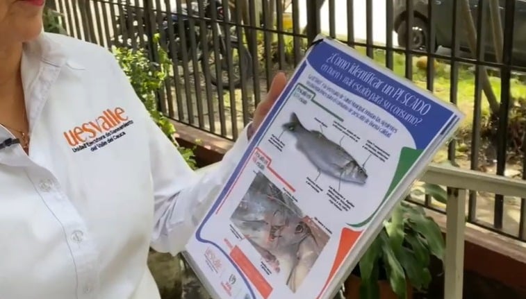 Veinticuatro municipios del Valle resultaron afectados por las fuertes lluvias de esta madrugada
