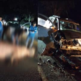 Hipopótamo de la Hacienda Nápoles se escapó y provocó grave accidente