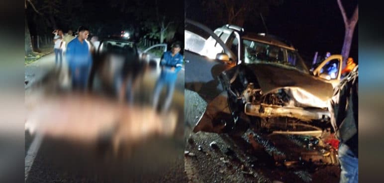 Hipopótamo de la Hacienda Nápoles se escapó y provocó grave accidente
