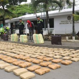 Autoridades incautan 388 Kilos de marihuana en un vehículo en Cali