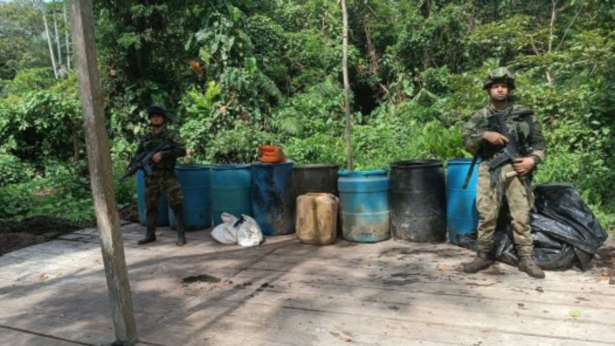 Senadora Paloma Valencia denuncia que "siguen apareciendo banderas del ELN" en el Cauca