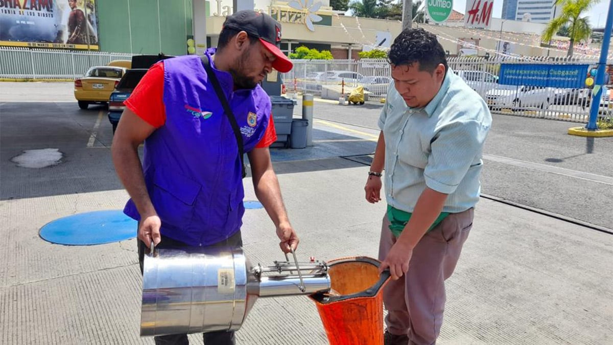¿Cómo ha cambiado la tasa de desempleo en Cali? Cali Cómo Vamos