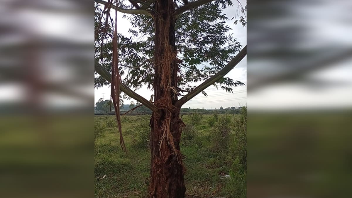 Ejército se pronunció frente a retención de militares en zona rural de Toribío