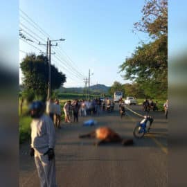 Siete fallecidos y 18 accidentes durante Semana Santa en vías del Valle