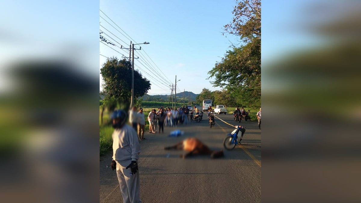 Conductor en aparente estado de embriaguez se estrelló en el sur de Cali