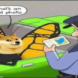'Dogecoin': Un perro de raza Shiba Inu, sería el nuevo logo de Twitter
