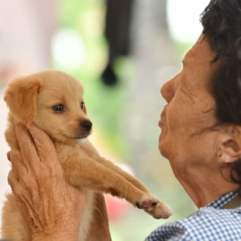 ¡Una segunda oportunidad! Gran jornada de adopción en Cali