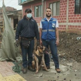 Gases de Occidente cuenta con patrulla canina para detectar fugas de gas