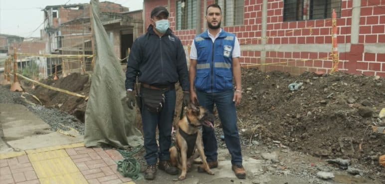 Gases de Occidente cuenta con patrulla canina para detectar fugas de gas