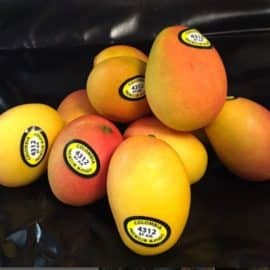 Colfrutta: Primera empresa colombiana que exportó mango de azúcar a EE UU