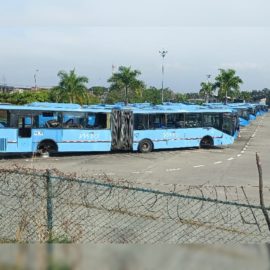 “De los 164 buses que tiene Unimetro, sólo sirven 20”: Metrocali