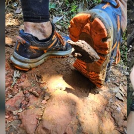 Deportistas hallaron puntillas escondidas en la maleza en sendero en el sur de Cali