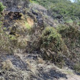 Cali, Jamundí y Yumbo: Los municipios con más riesgos de incendios forestales