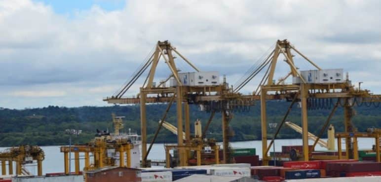 El Valle del Cauca sigue consolidando su presencia en el mercado internacional