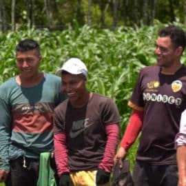 "En el Cauca juntos avanzamos": Gobernación del Cauca