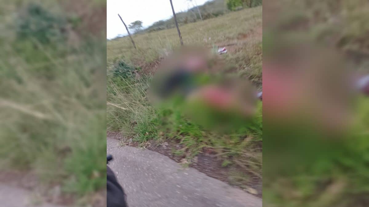 "Siempre hemos estado por fuera de los procesos de paz": Alcalde de Jamundí