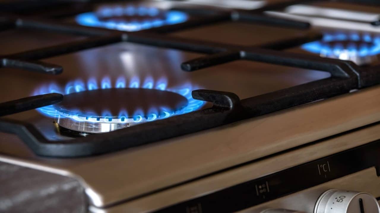 "Solamente mil establecimientos han podido acceder al gas propano": Director Acodrés