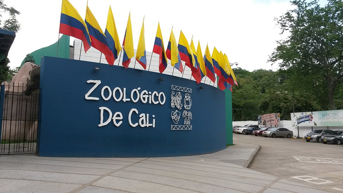 El Bulevar del río: Un espacio de encuentro para turistas y caleños