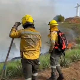 Estas son las medidas con las que se buscan reducir los incendios provocados en Cali