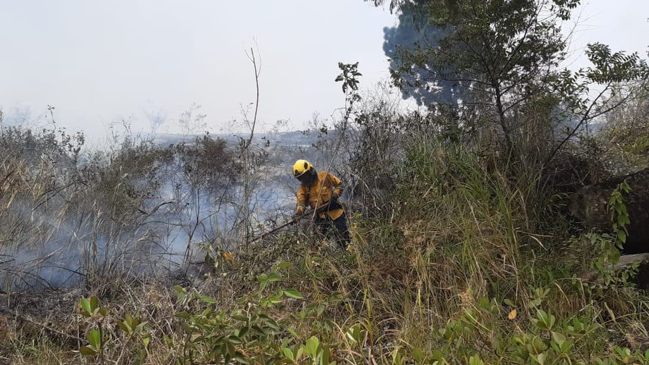 Estas son las medidas con las que se buscan reducir los incendios provocados en Cali
