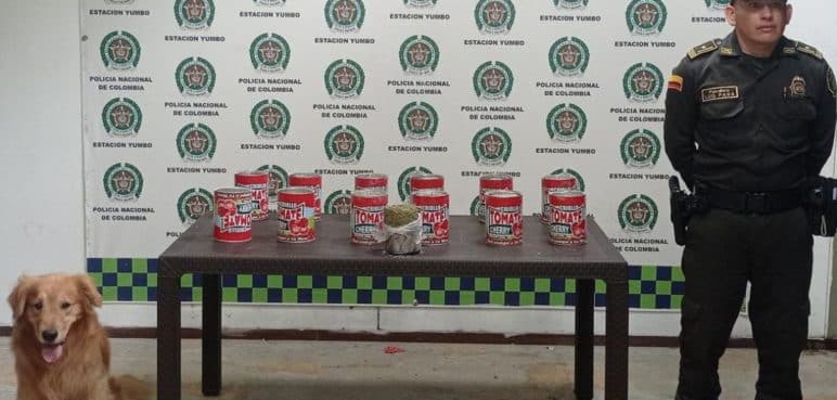 'Toro' incautó 12.000 gramos de marihuana en empresas de envío en Yumbo