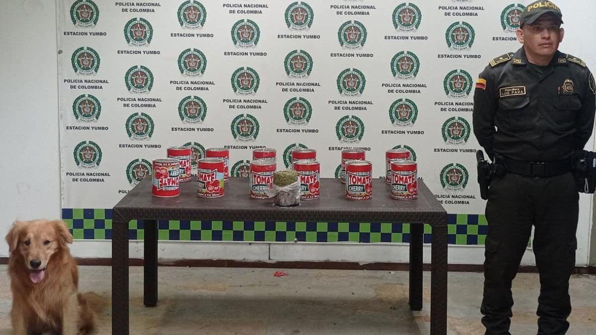 La Procuraduría formuló cargos al personero de Jamundí, Jorge Iván Mejía
