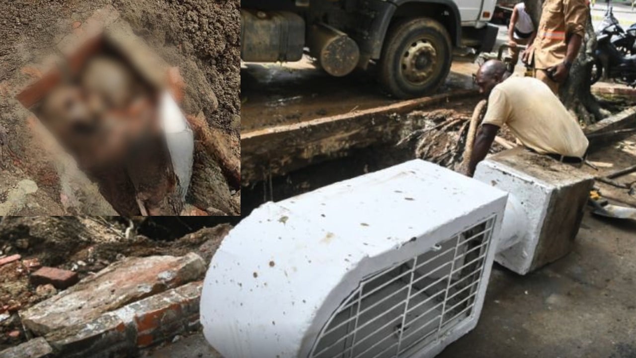 Trabajadores de EMCALI hallaron dos esqueletos cuando rompieron el pavimento