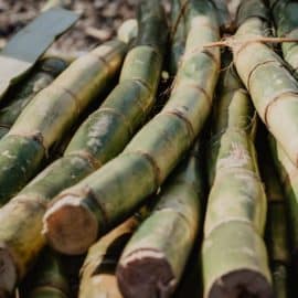 Dos trabajadores de un ingenio azucarero fueron retenidos en Cauca