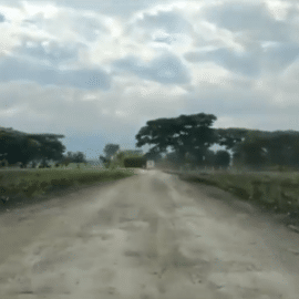 Ciudadanos bloquearon vía Guacarí - Cerrito por falta de agua potable