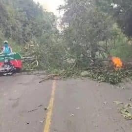 Consejo Gremial del Cauca rechaza invasión de tierras en el departamento