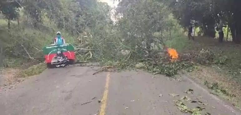 Consejo Gremial del Cauca rechaza invasión de tierras en el departamento