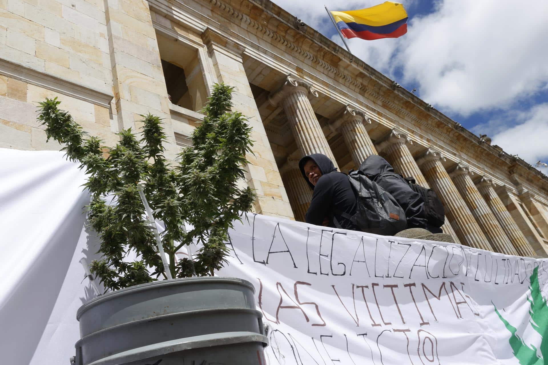 Así avanza el debate para la regularización del Cannabis en Colombia