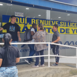 Denuncian largas filas para renovar licencias de conducción en Cali