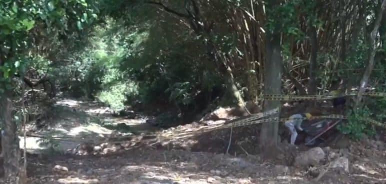 Denuncias por construcción que afecta la fauna y la flora del barrio Meléndez