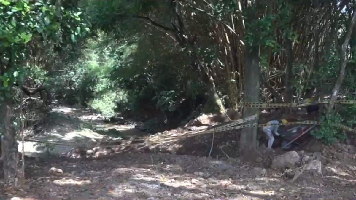 Denuncias por construcción que afecta la fauna y la flora del barrio Meléndez