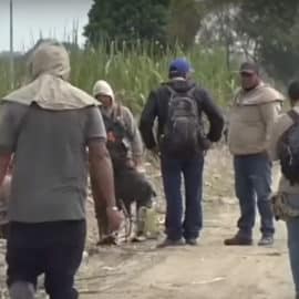 Invasión en Miranda