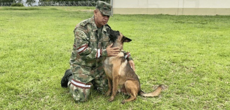 'Vamos por Wilson': Más de 100 miembros del Ejército buscan a Wilson