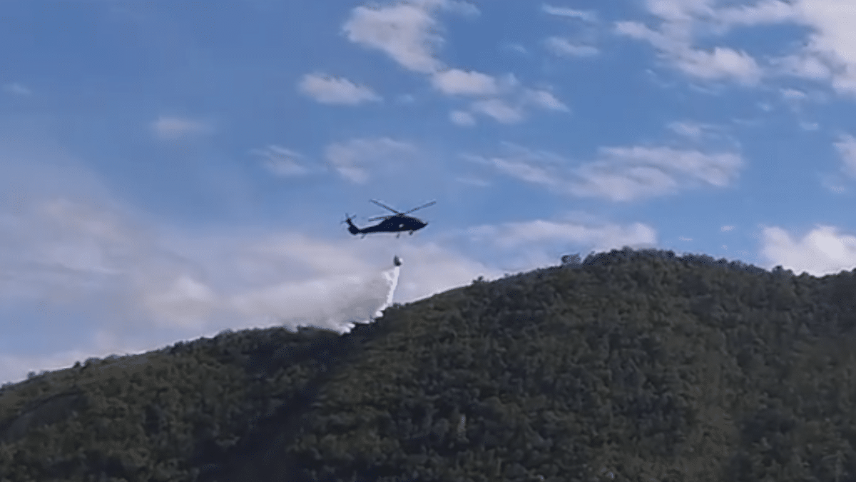 Video: Incendio en Yotoco consumió más de 100 hectáreas de reserva forestal