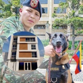 Clínica veterinaria en Cali hará un homenaje a Wilson