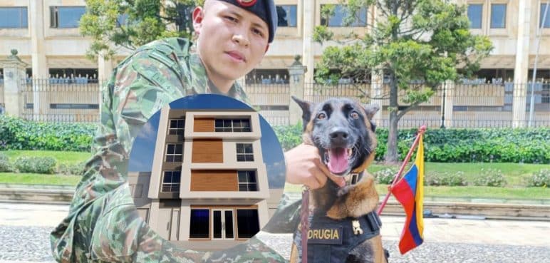 Clínica veterinaria en Cali hará un homenaje a Wilson