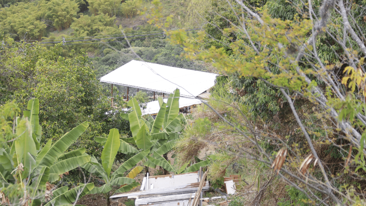 Comercios nocturnos de Cali denuncian que les exigen documentos innecesarios