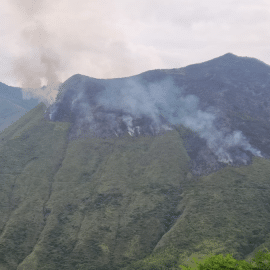 Así avanzan las labores para controlar devastador incendio en zona rural de Cali