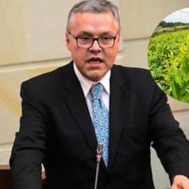 Gobierno propone entregar subsidio a los campesinos cultivadores de coca