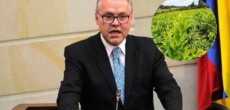 Gobierno propone entregar subsidio a los campesinos cultivadores de coca