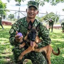 Más de 15.000 jóvenes podrán hacer parte del Ejército Nacional